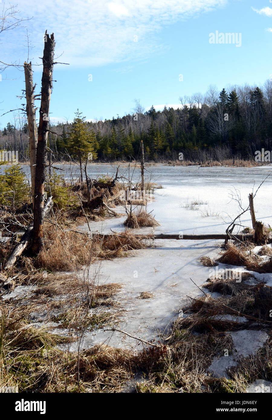 Lake in Nova Scotia, Canada Stock Photo Alamy