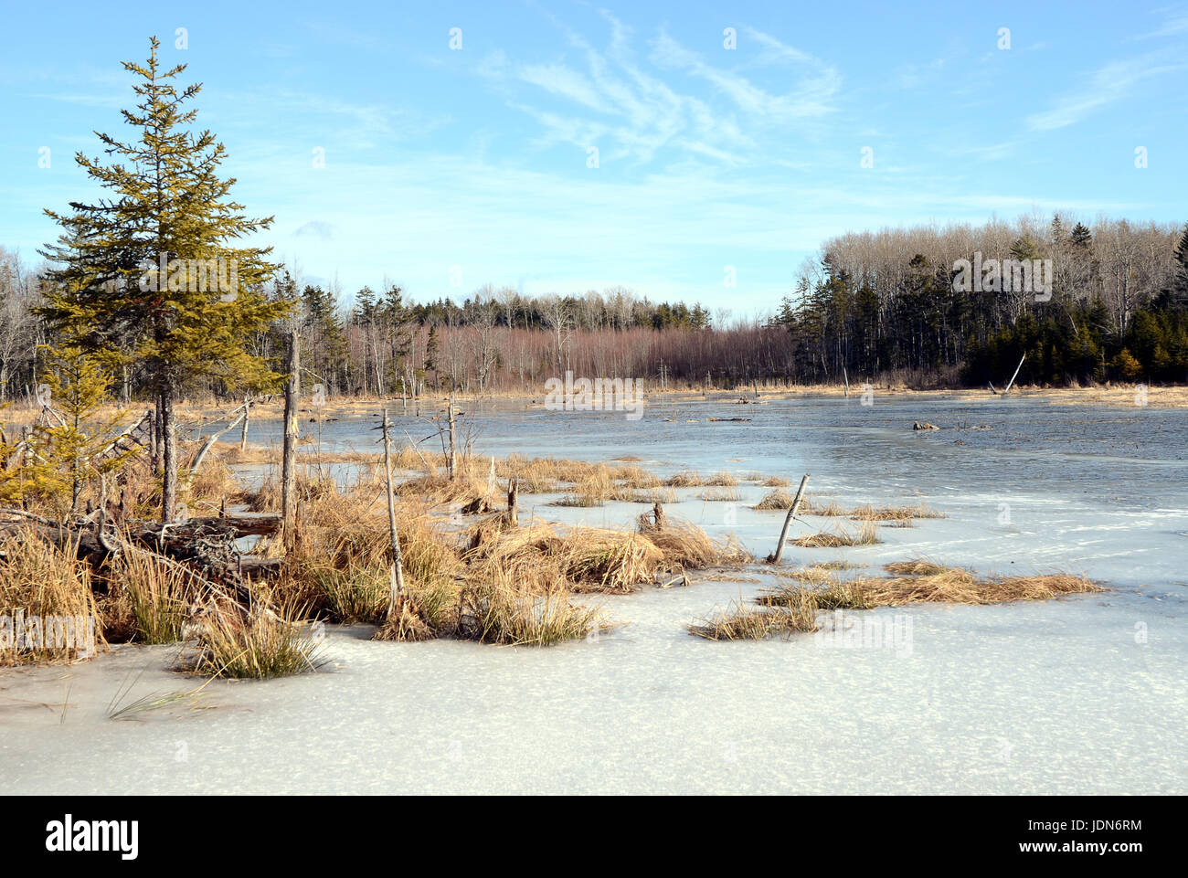 Lake in Nova Scotia, Canada Stock Photo Alamy