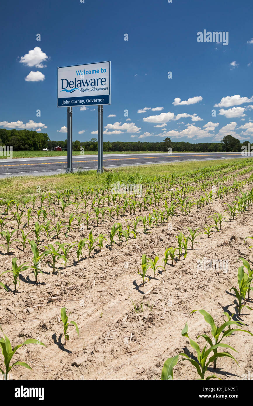 Atlanta, Delaware - A Welcome to Delaware sign beside a corn field in the southwestern part of the state. Stock Photo