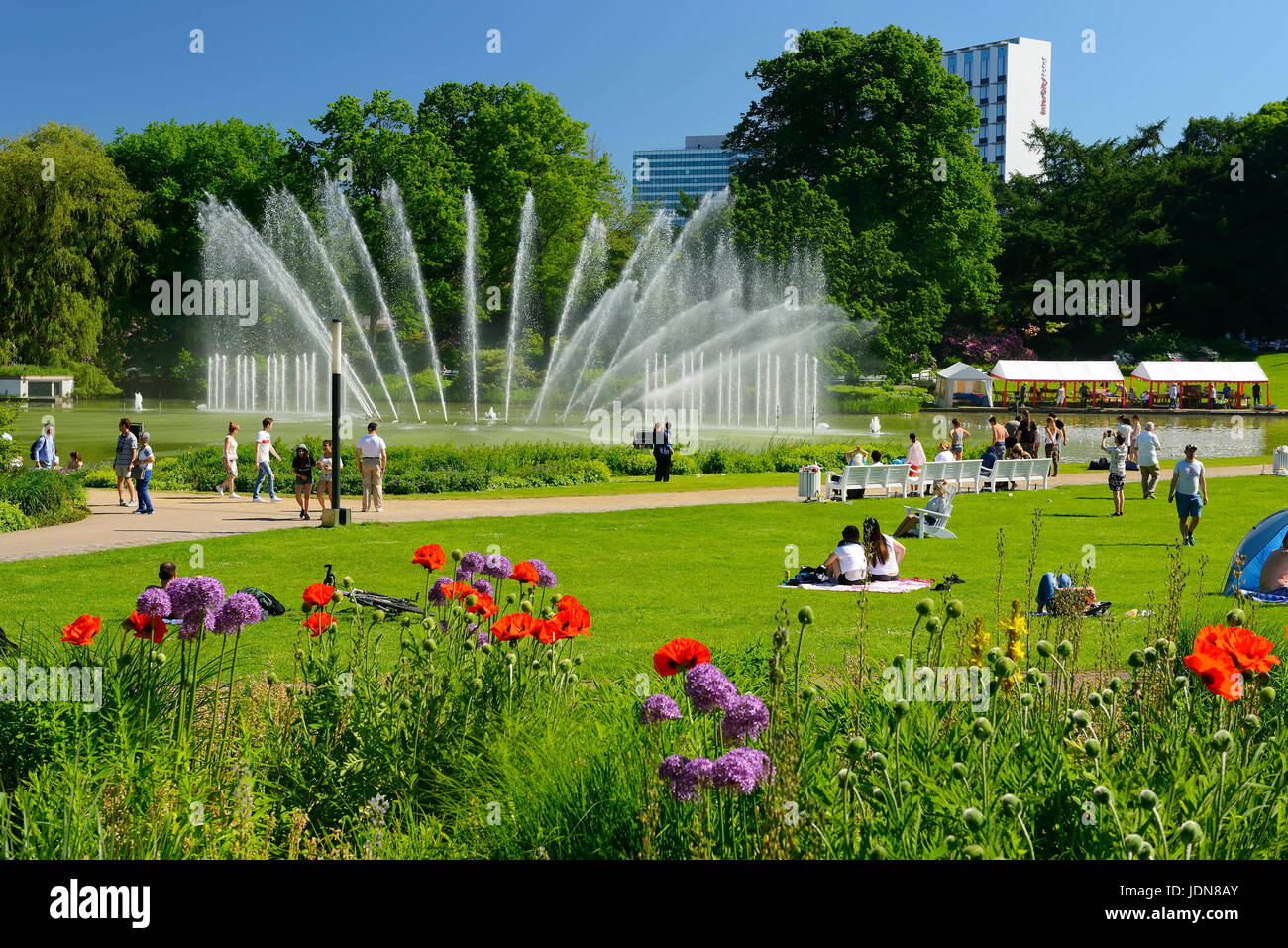 Water fountains in the park Planning un Blomen in Hamburg, Germany, Europe, Wasserspiele im Park Planten un Blomen in Hamburg, Deutschland, Europa Stock Photo
