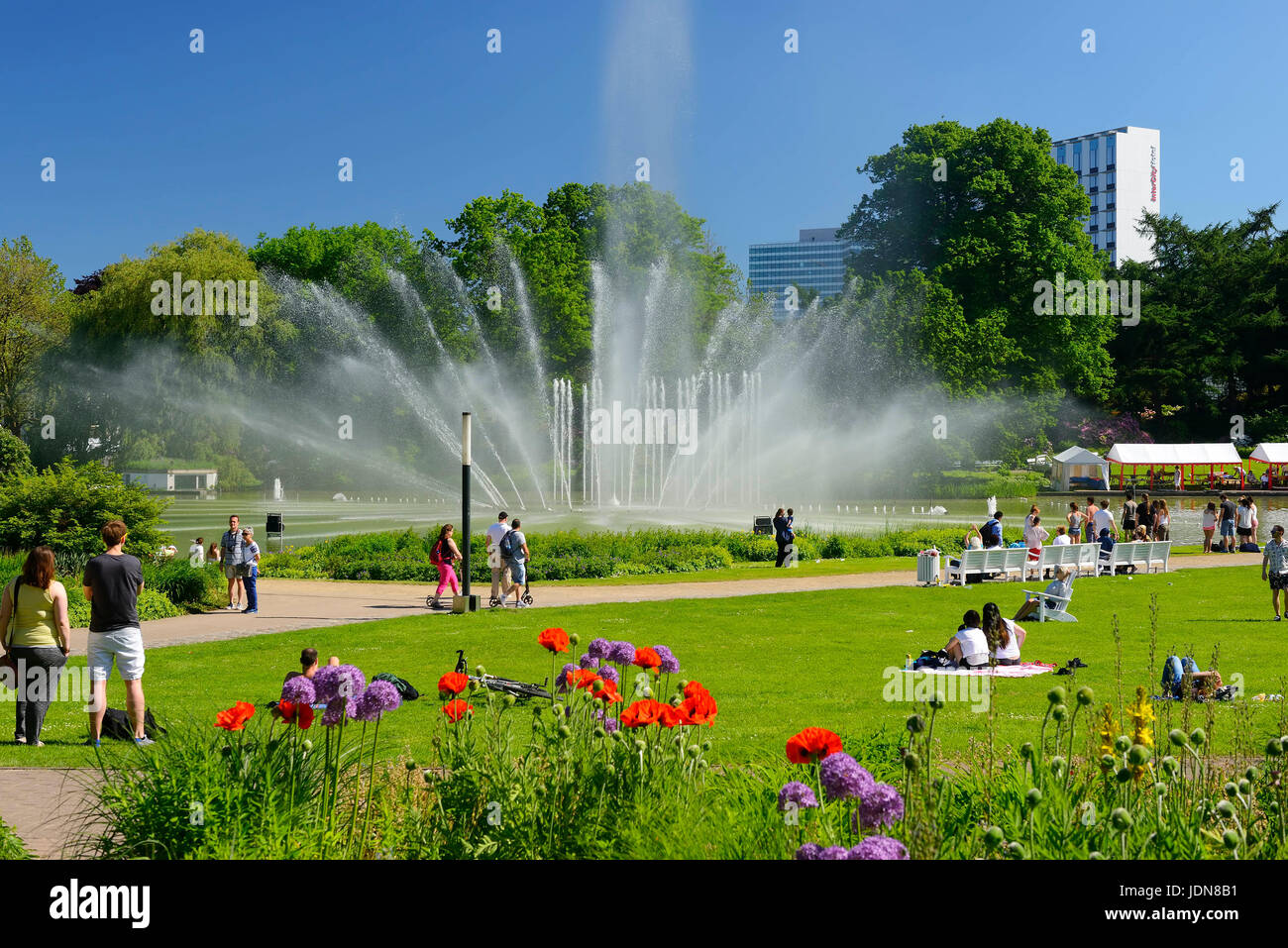 Water fountains in the park Planning un Blomen in Hamburg, Germany, Europe,  Wasserspiele im Park Planten un Blomen in Hamburg, Deutschland, Europa  Stock Photo - Alamy