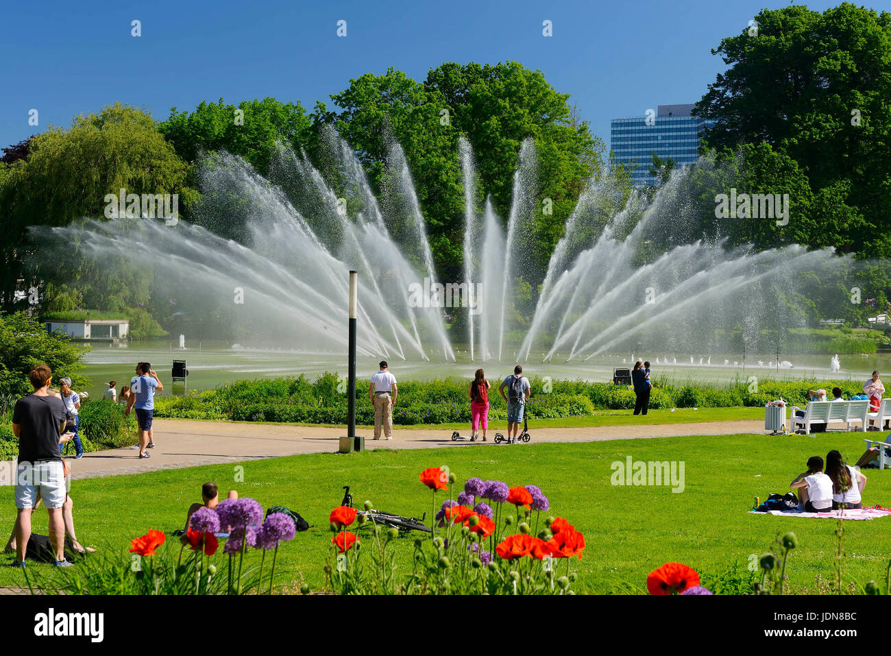 Water fountains in the park Planning un Blomen in Hamburg, Germany, Europe, Wasserspiele im Park Planten un Blomen Hamburg, Deutschland, Europa -