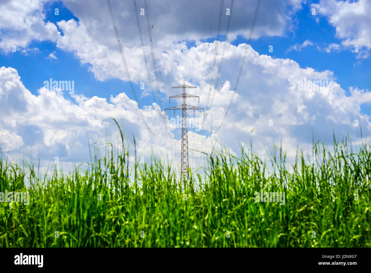 High-tension mast and grass, symbolic photo green energy, Hochspannungsmast und Graeser, Symbolfoto gruene Energien Stock Photo