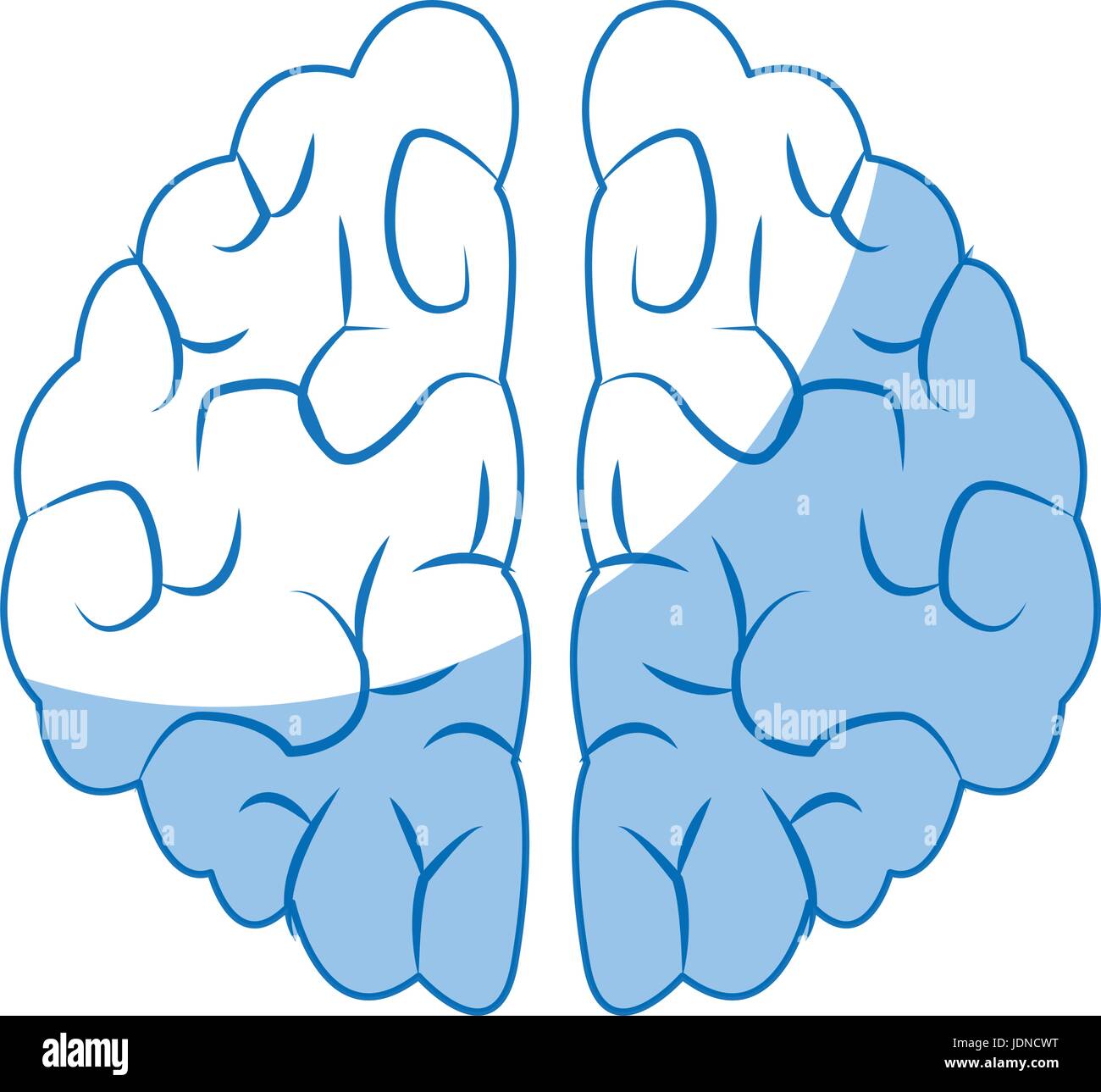 human brain organ health memory anatomy Stock Vector Image & Art - Alamy
