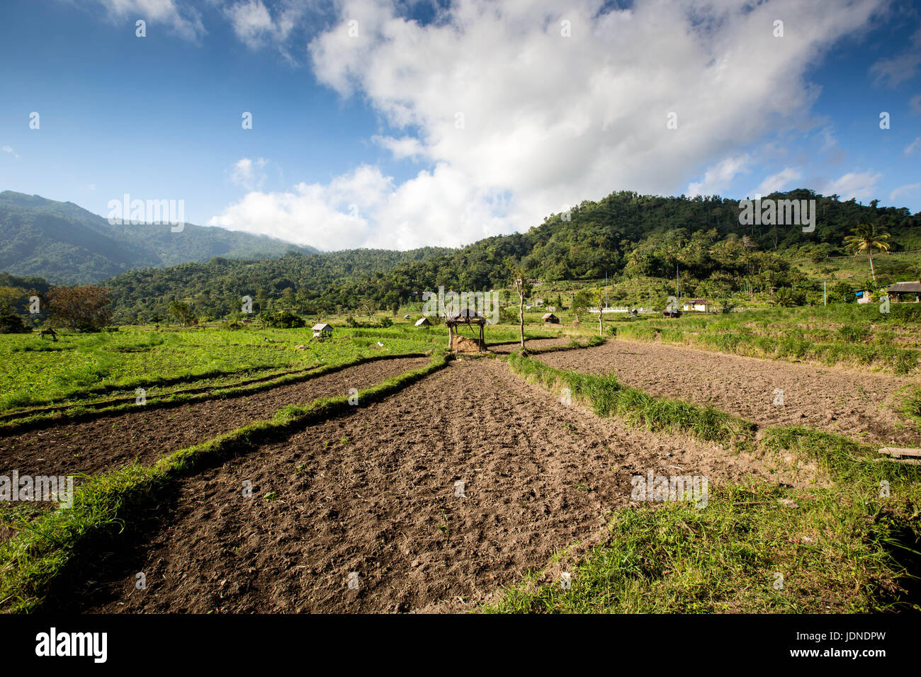 Rice Paddies in Bali ready for sowing vegetables Stock Photo