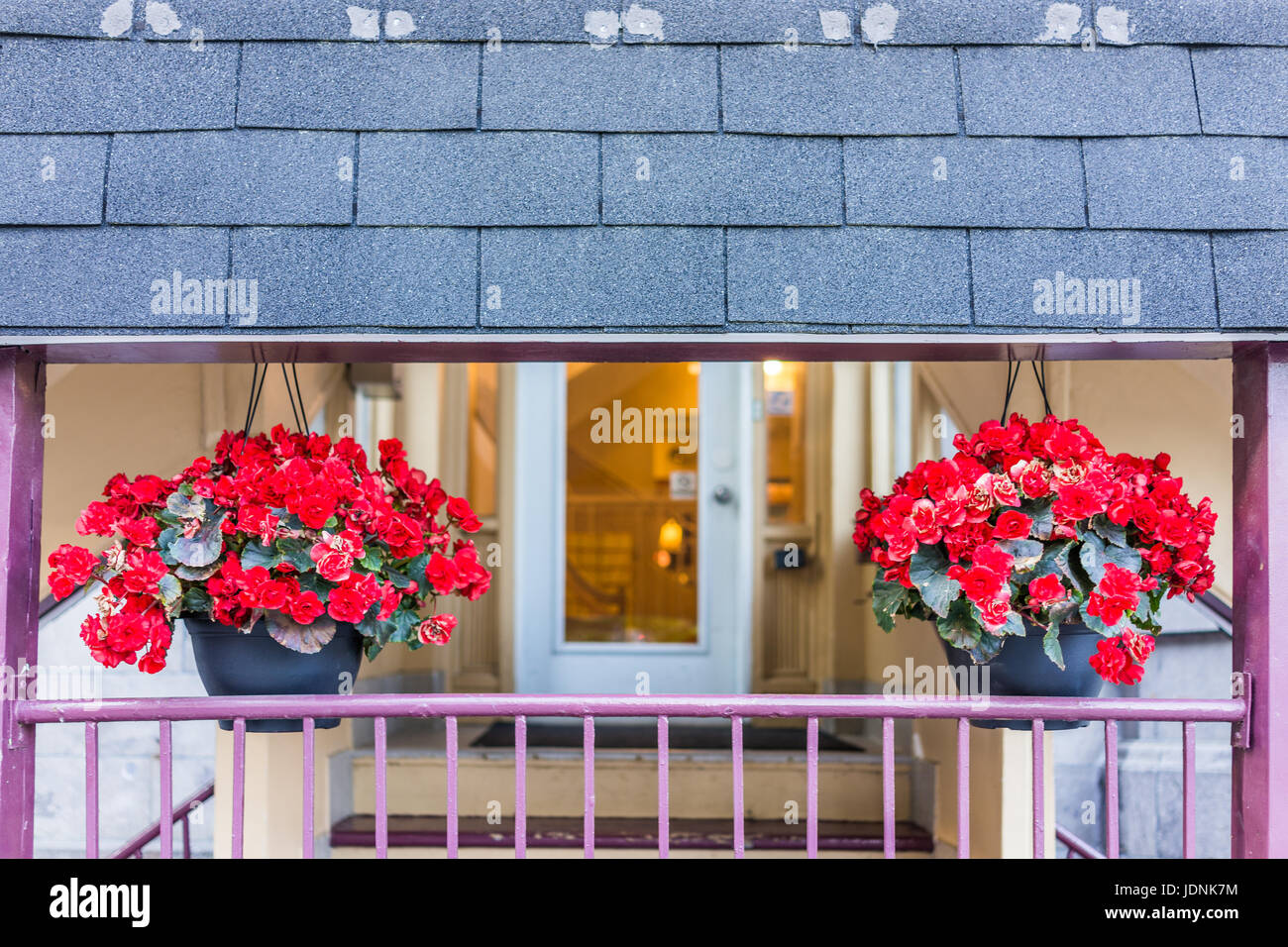 Red begonia flower pots by entrance of building during summer as decorations Stock Photo