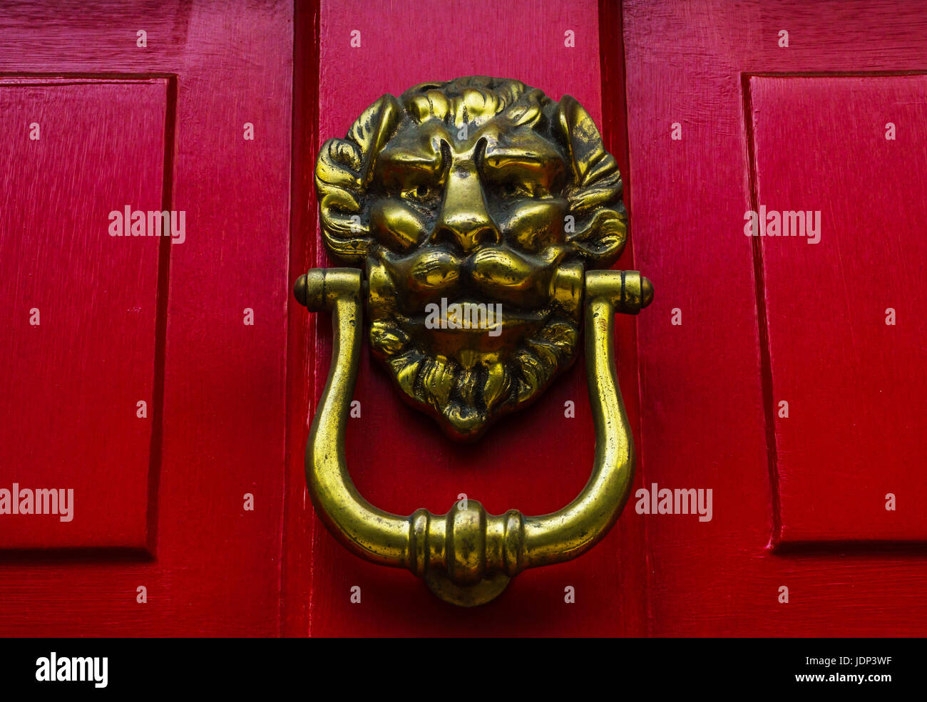 Door with brass knocker in the shape of a lion&rsquo;s head, beautiful