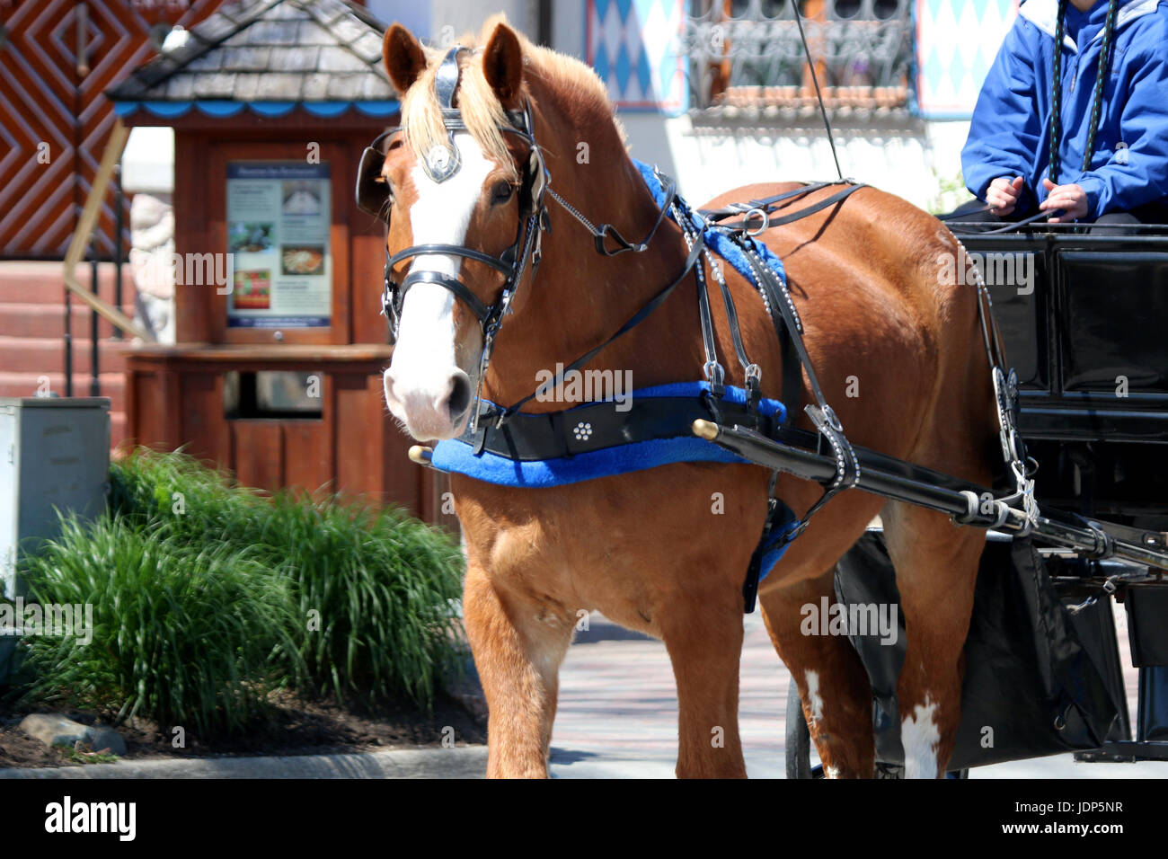 Frankenmuth Michigan horse and buggy carriage rides Stock Photo Alamy