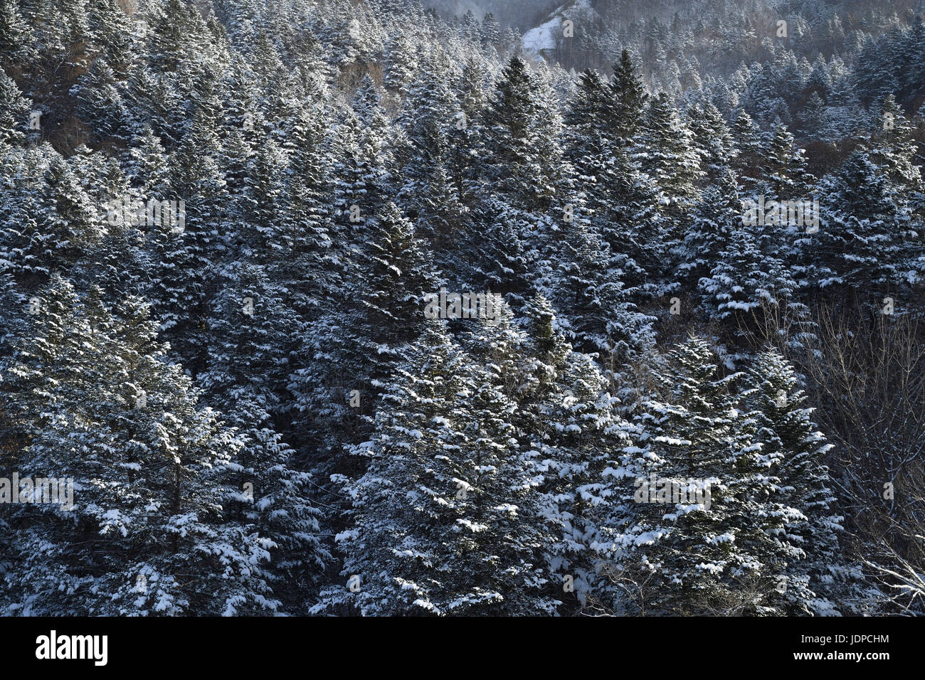 Snowy mountainscape in Hokkaido, Japan Stock Photo