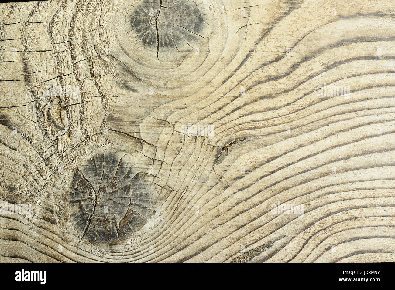 detailed surface of fir plank ( Abies alba ), wooden texture with natural knots Stock Photo