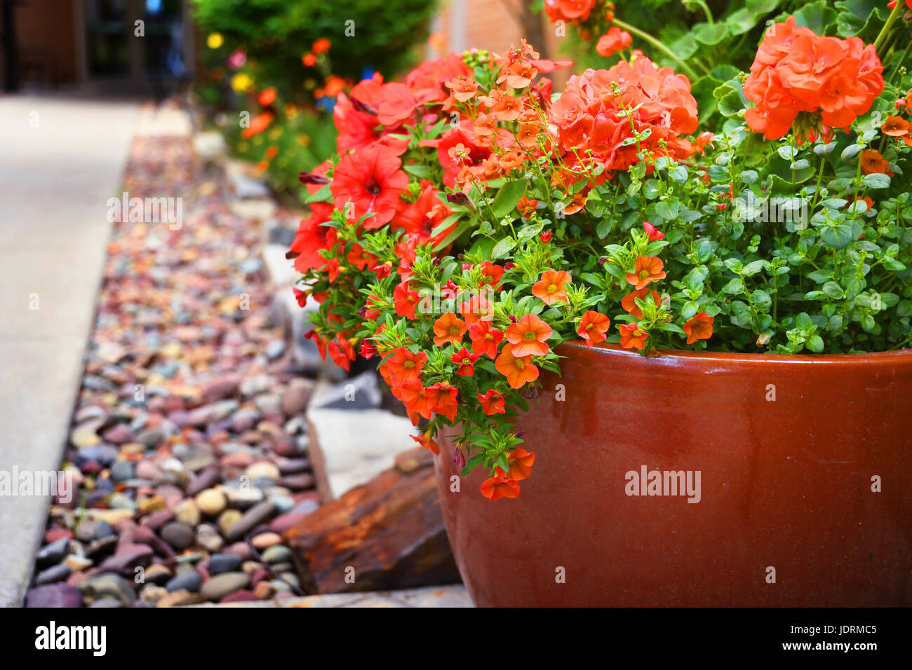 Flower pot full of petunias and geraniums Stock Photo