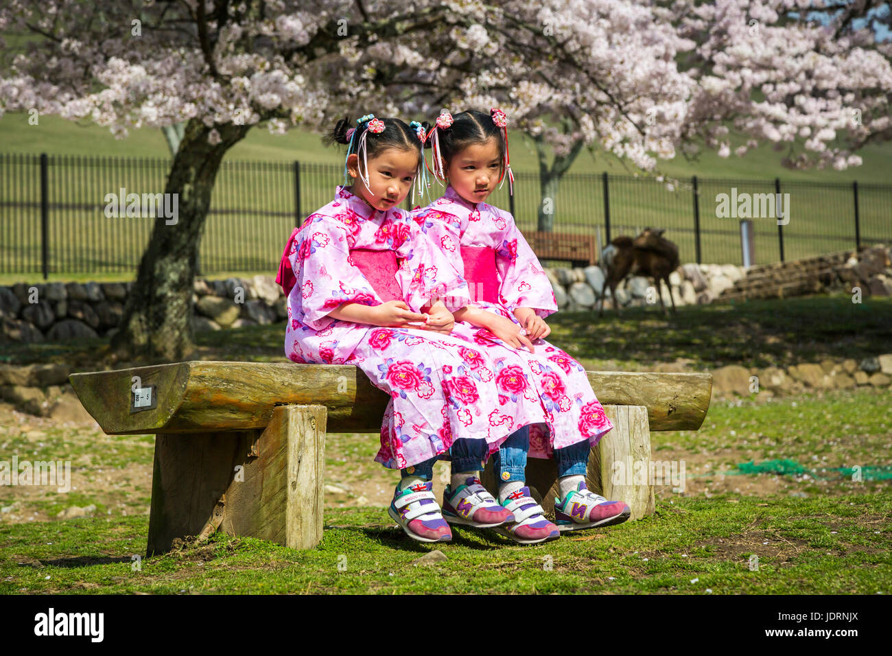 Asian pacific american labor alliance