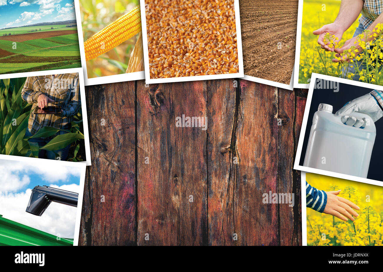 Agriculture themed photo collage with copy space on wooden background ...