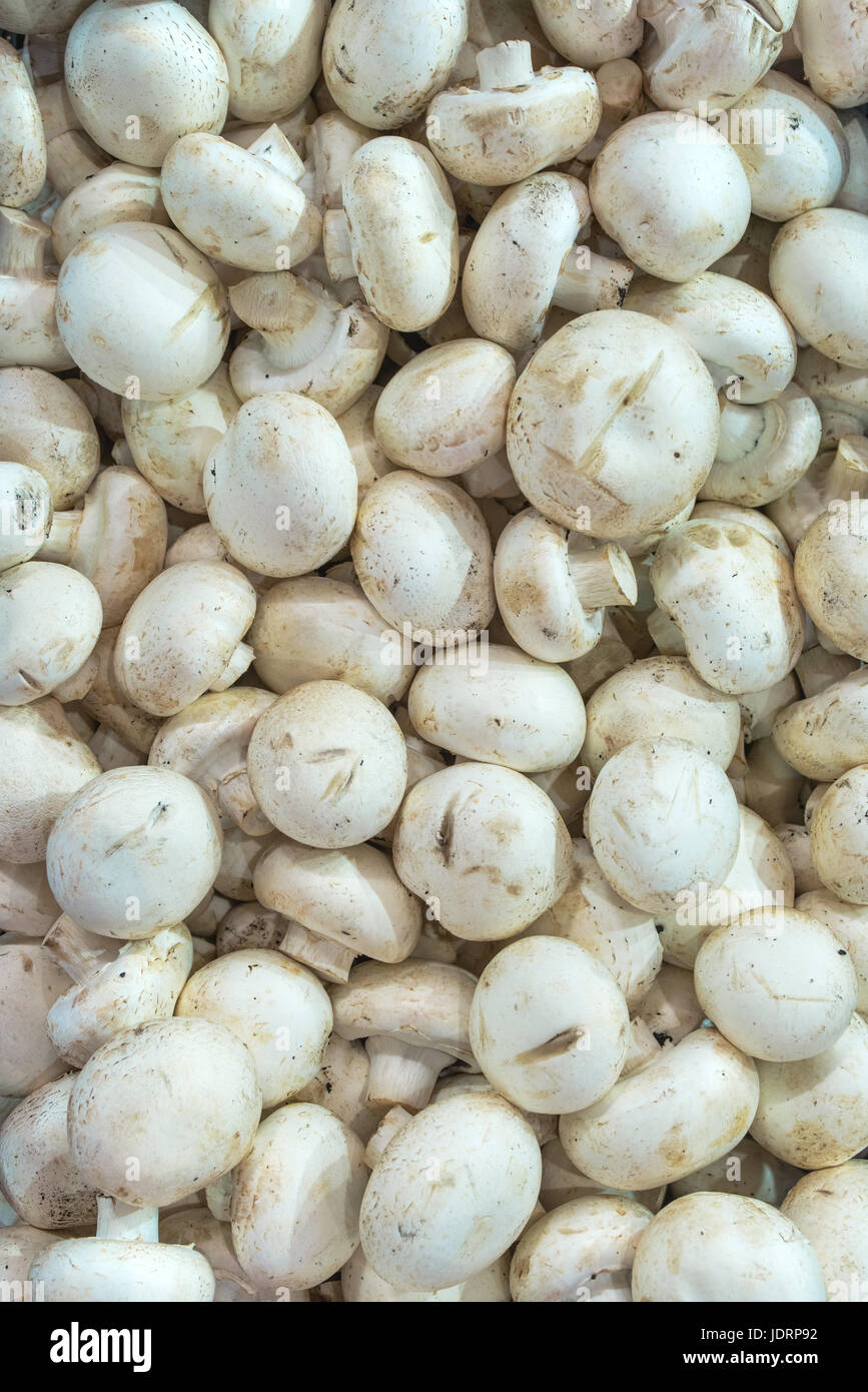 Organic champignon mushroom heap for sale on farmers market Stock Photo