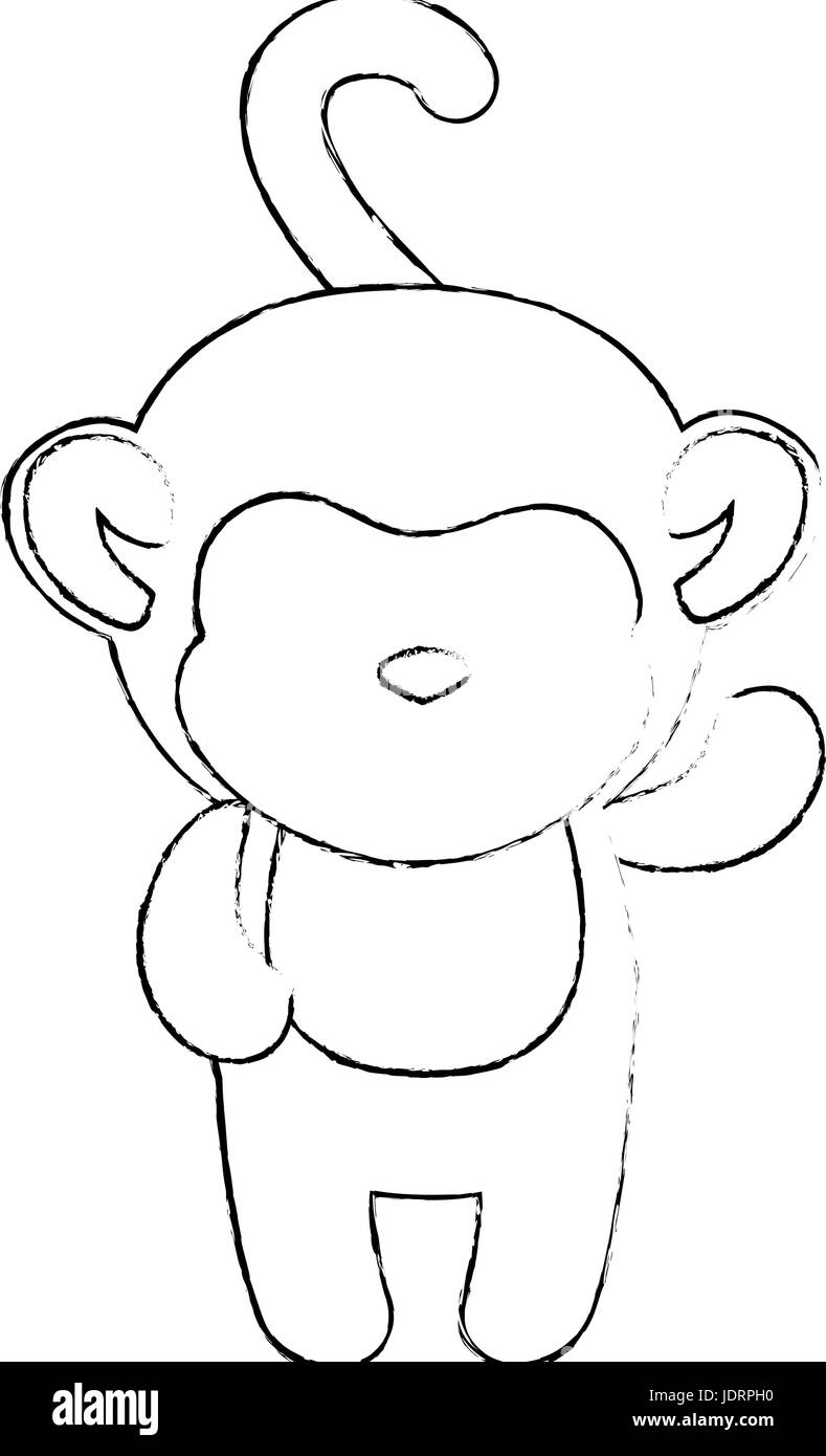 monkey animal icon over white background vector illustration Stock ...