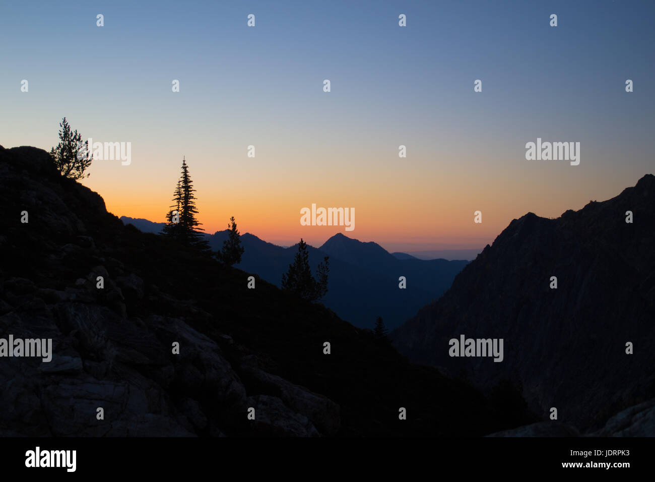 The Silhouettes of Trees During the Sunrise Stock Photo - Alamy