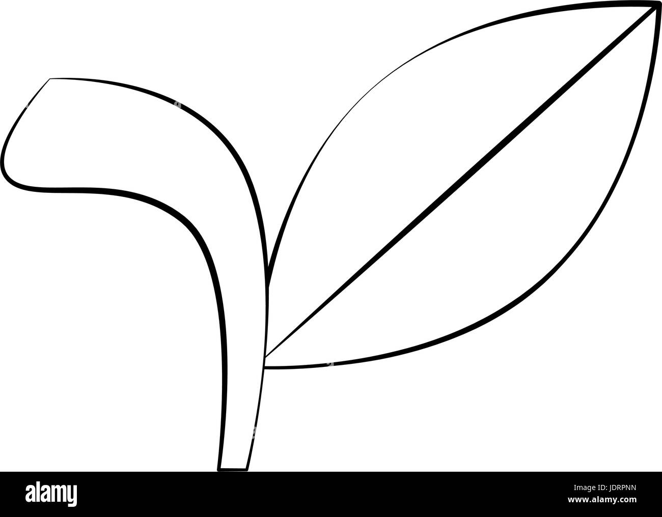 leaf icon over white background vector illustration Stock Vector Image ...