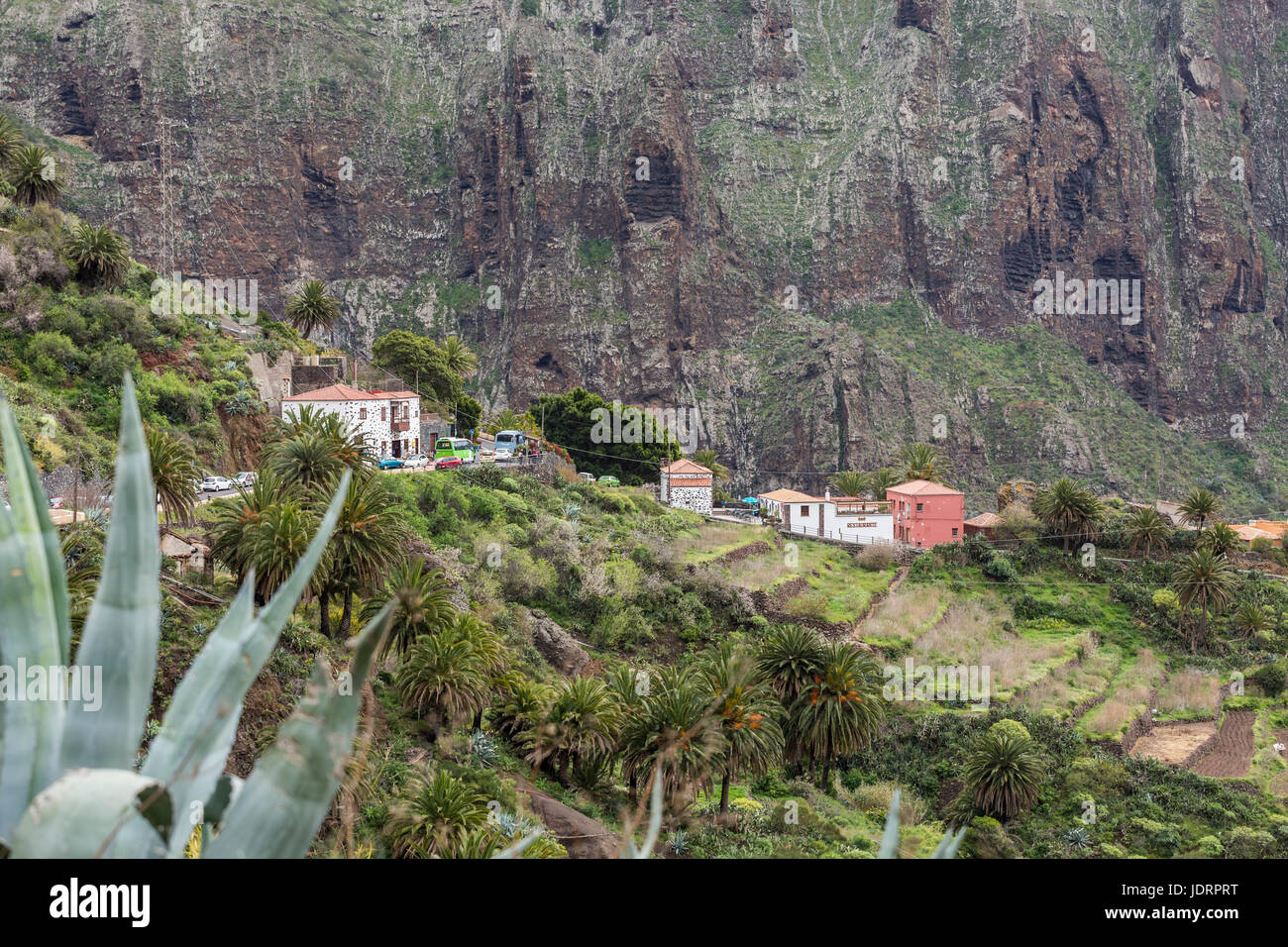 Masca barranco, gorge, in Tenerife, Canary Islands Stock Photo