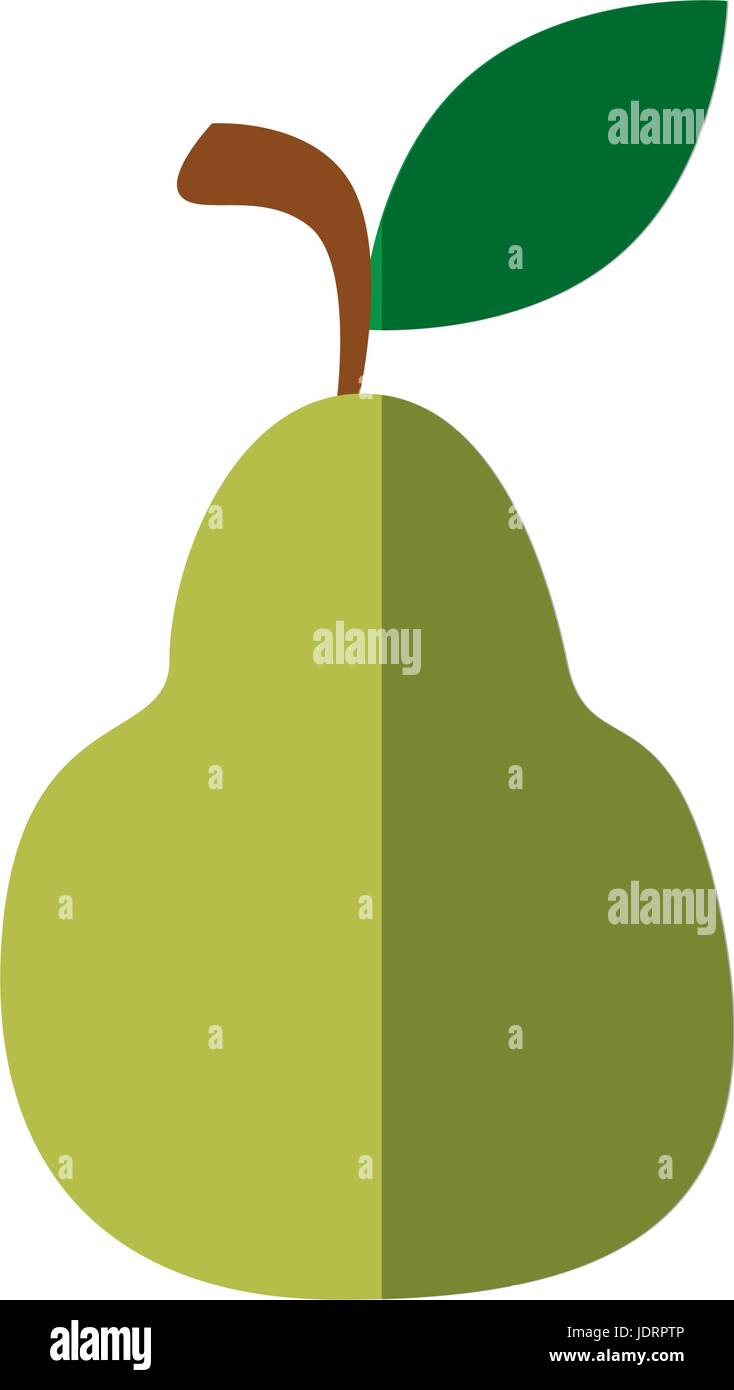 pear fruit icon over white background vector illustration Stock Vector ...