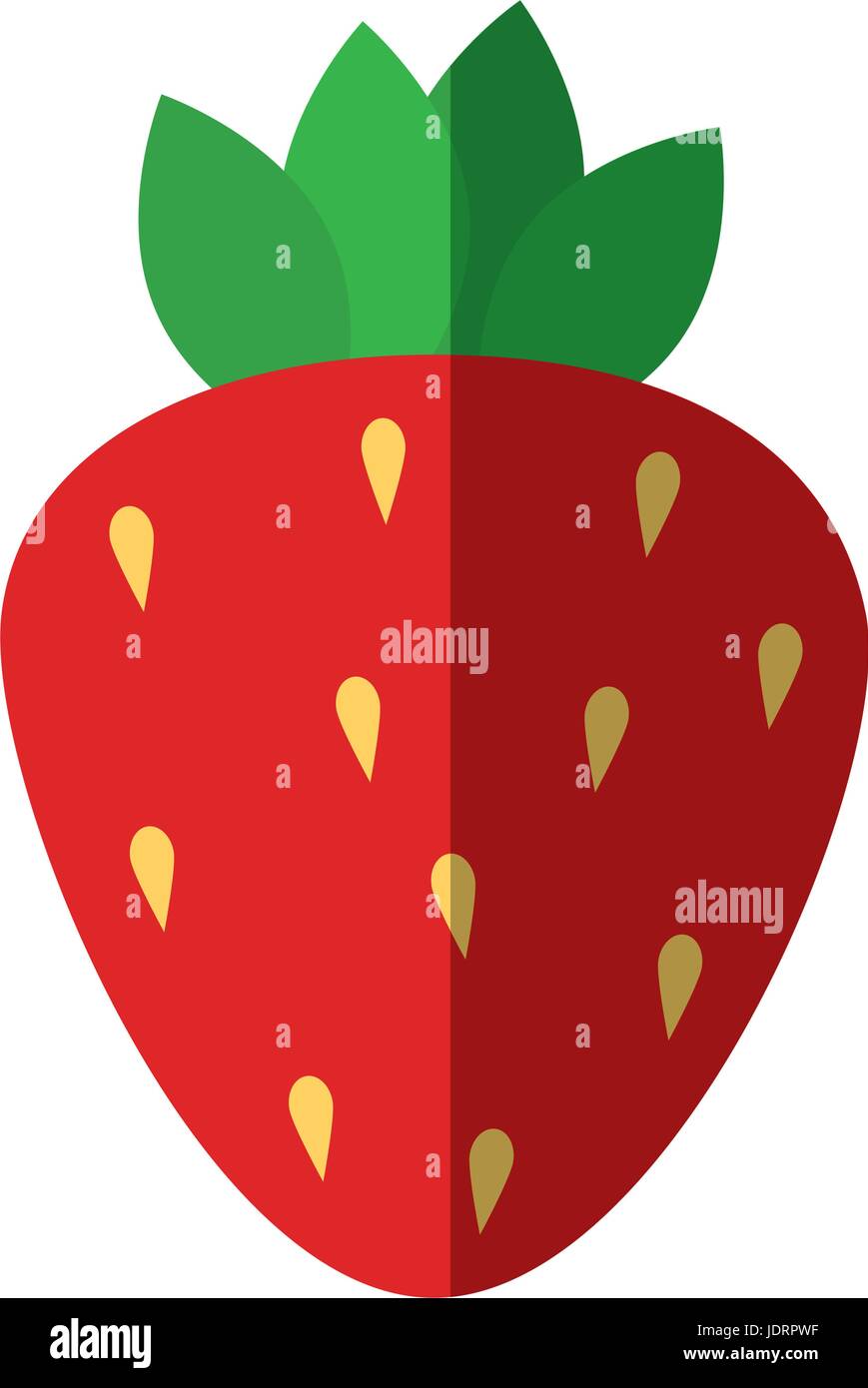 strawberry fruit icon over white background vector illustration Stock ...