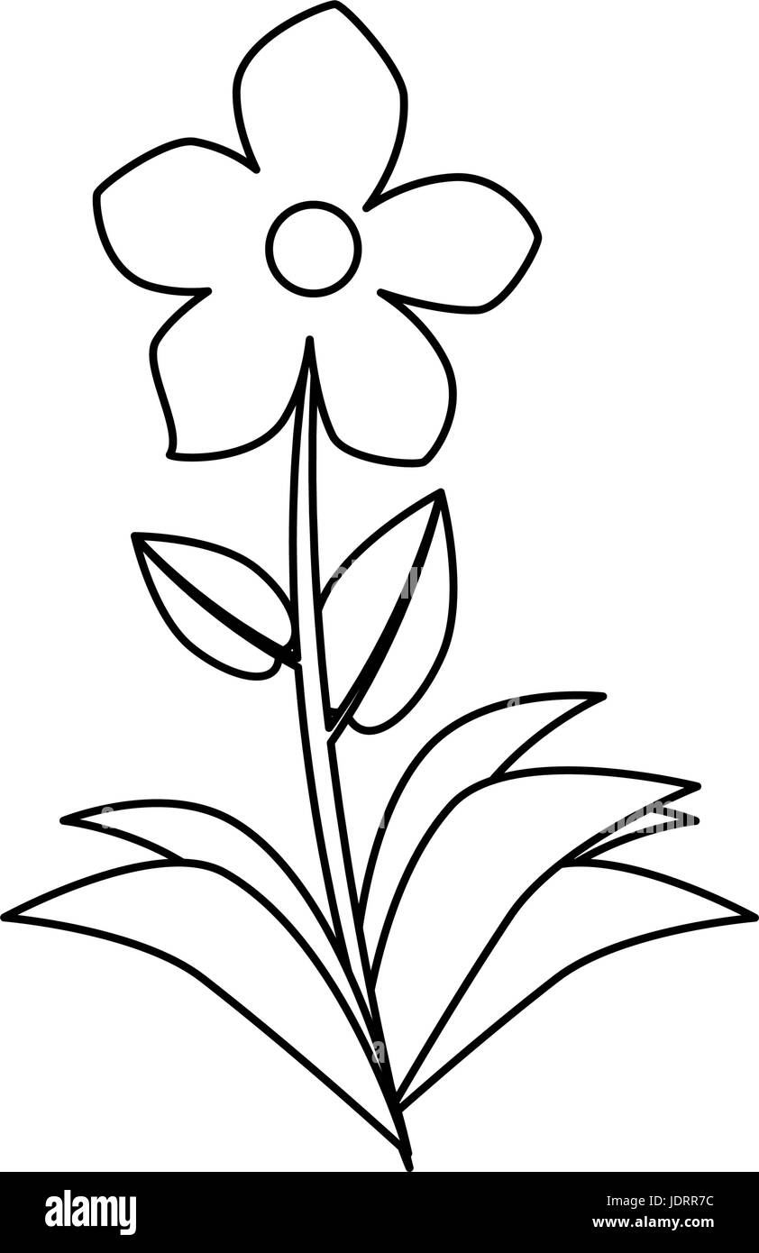 beautiful flower icon over white background vector illustration Stock ...