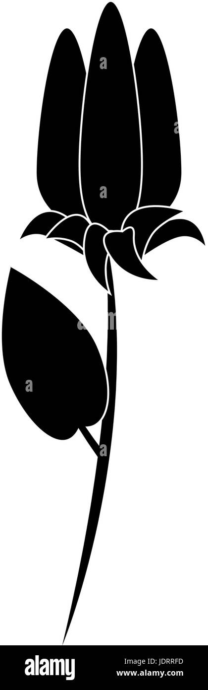 beautiful flower icon over white background vector illustration Stock ...