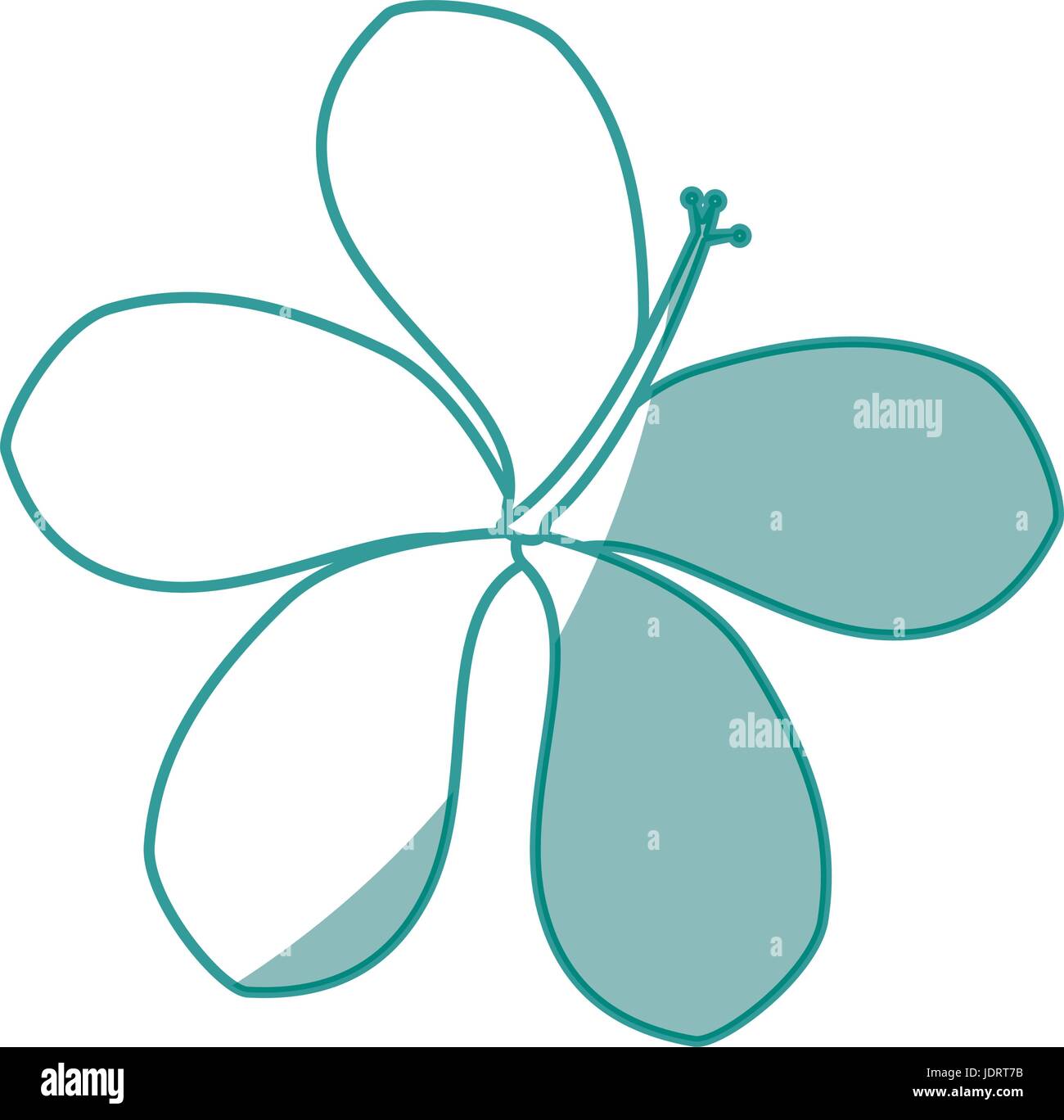 beautiful flower icon over white background vector illustration Stock ...