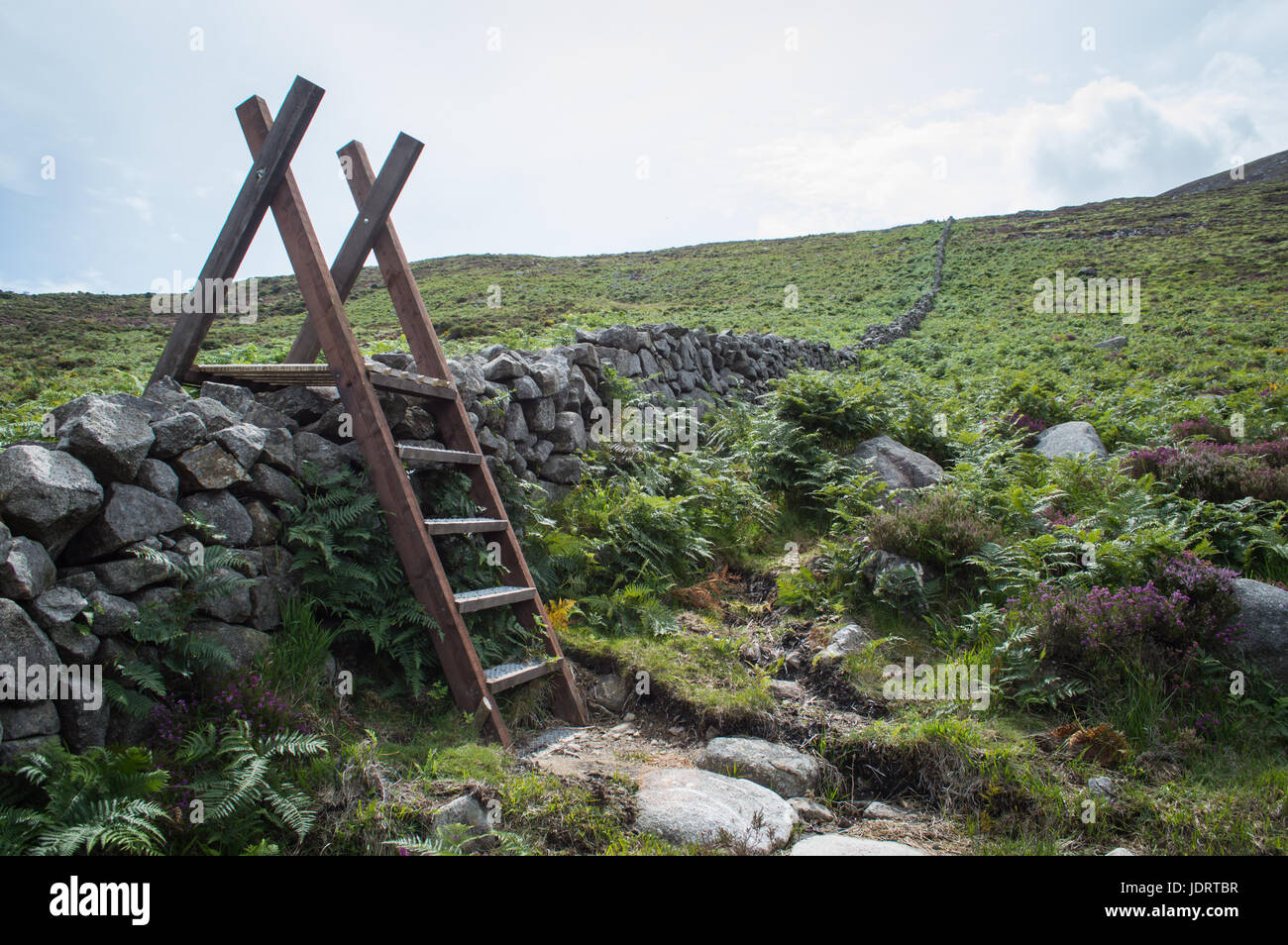 Stile over wall on ferny hillside Stock Photo Alamy