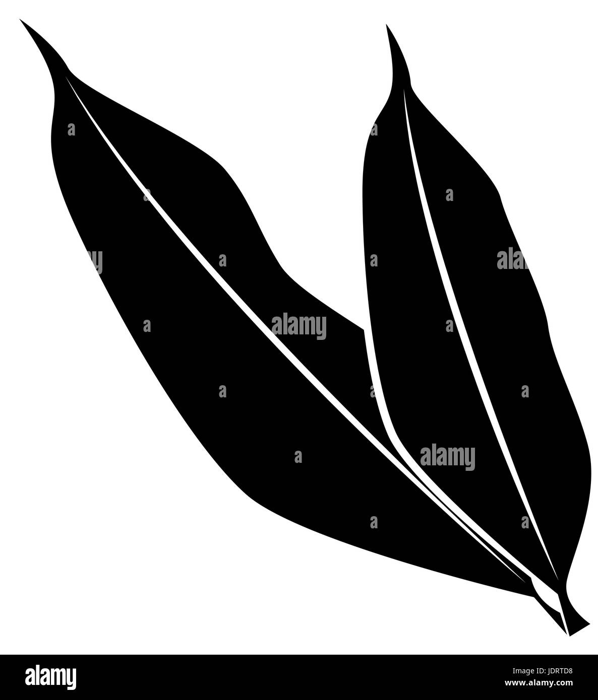 leaves icon over white background vector illustration Stock Vector ...