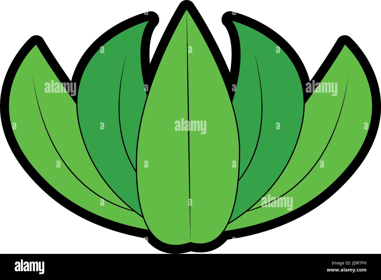 leaves icon over white background vector illustration Stock Vector ...