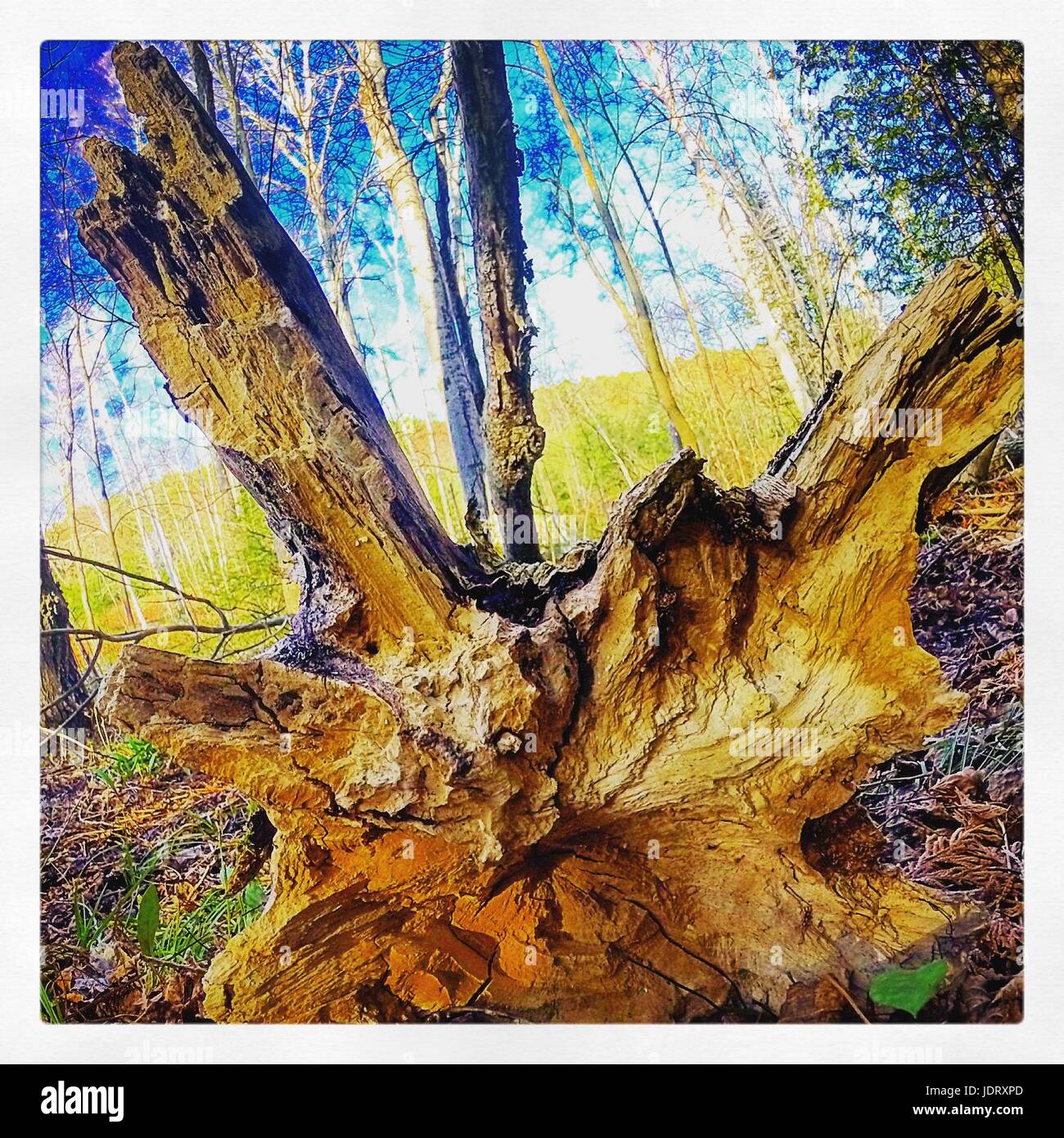 Buy Landscape Scenic Beauty Of Nature Painting at Lowest Price by Seema  Agrawal