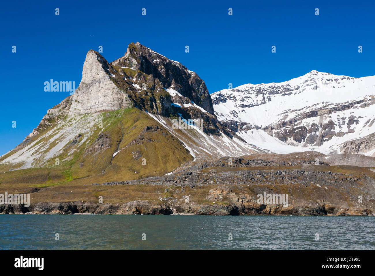 A striking cliff popular with nesting birds and, below, arctic foxes Stock Photo