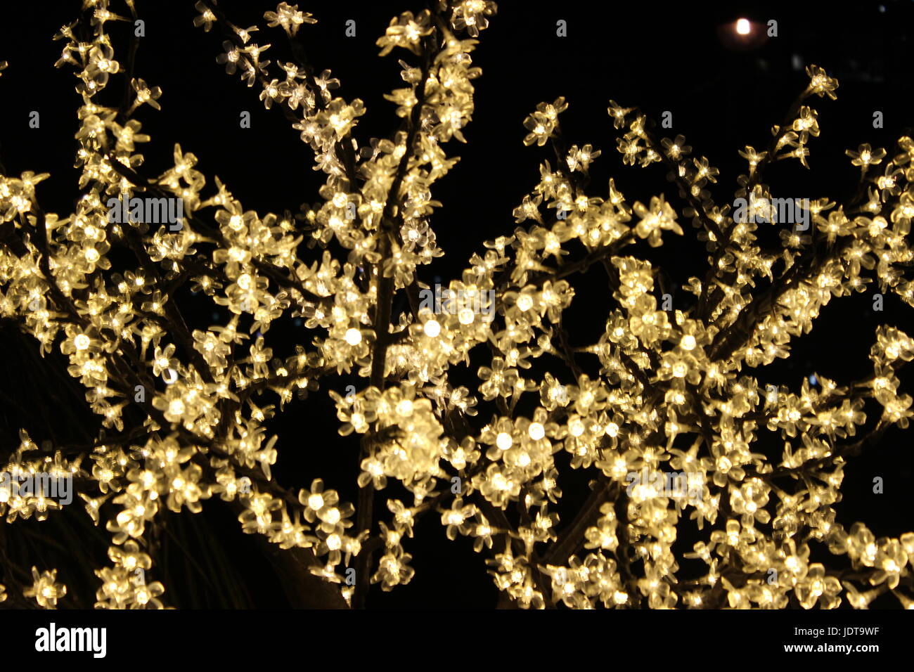 Flower night lights on a tree during winter. Stock Photo