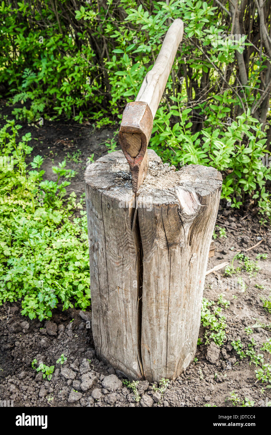 Axed Tree Axed tree hi-res stock photography and images - Alamy