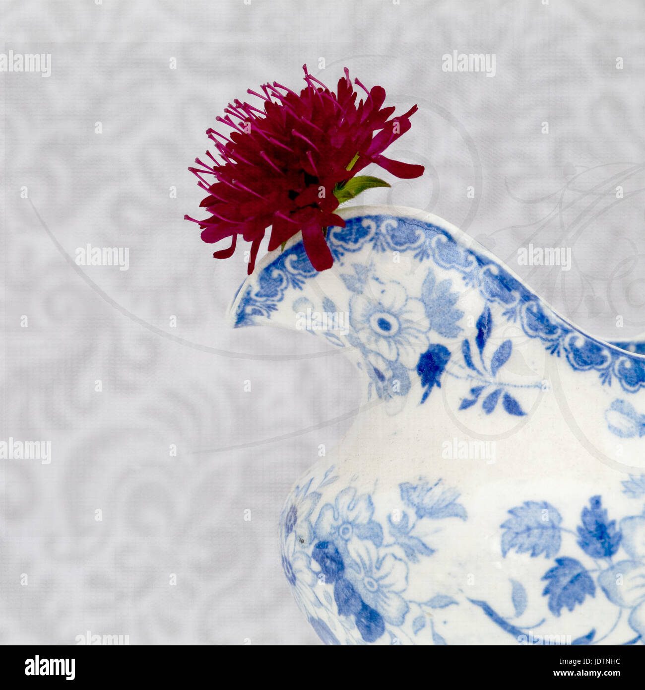 Study of flower in a jug. Stock Photo