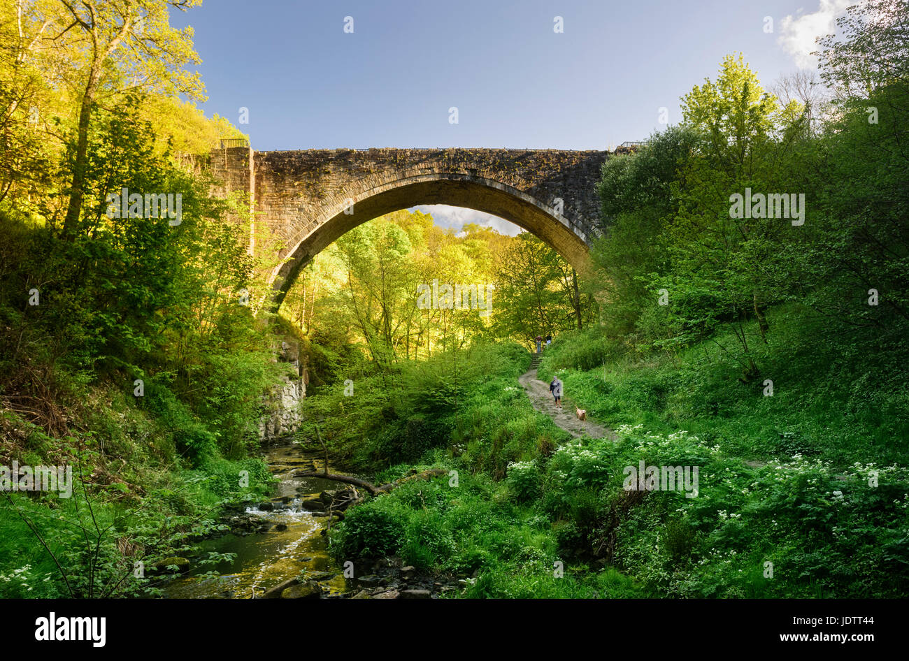 Causey Arch near Stanley in County Durham oldest single span railway bridge Stock Photo