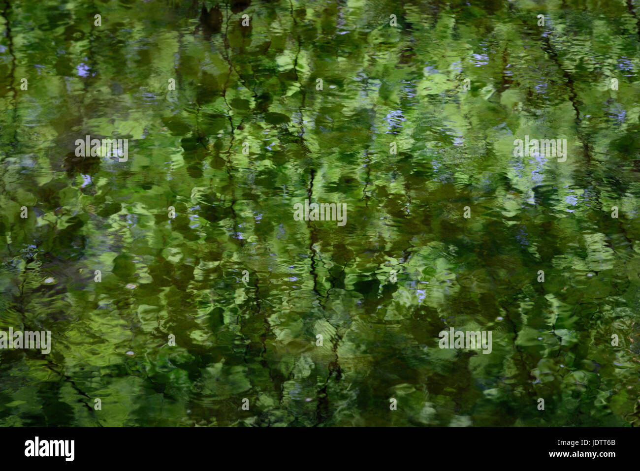 Abstract impressionist landscape image showing reflection of trees and leaves in the water of a river or lake Stock Photo