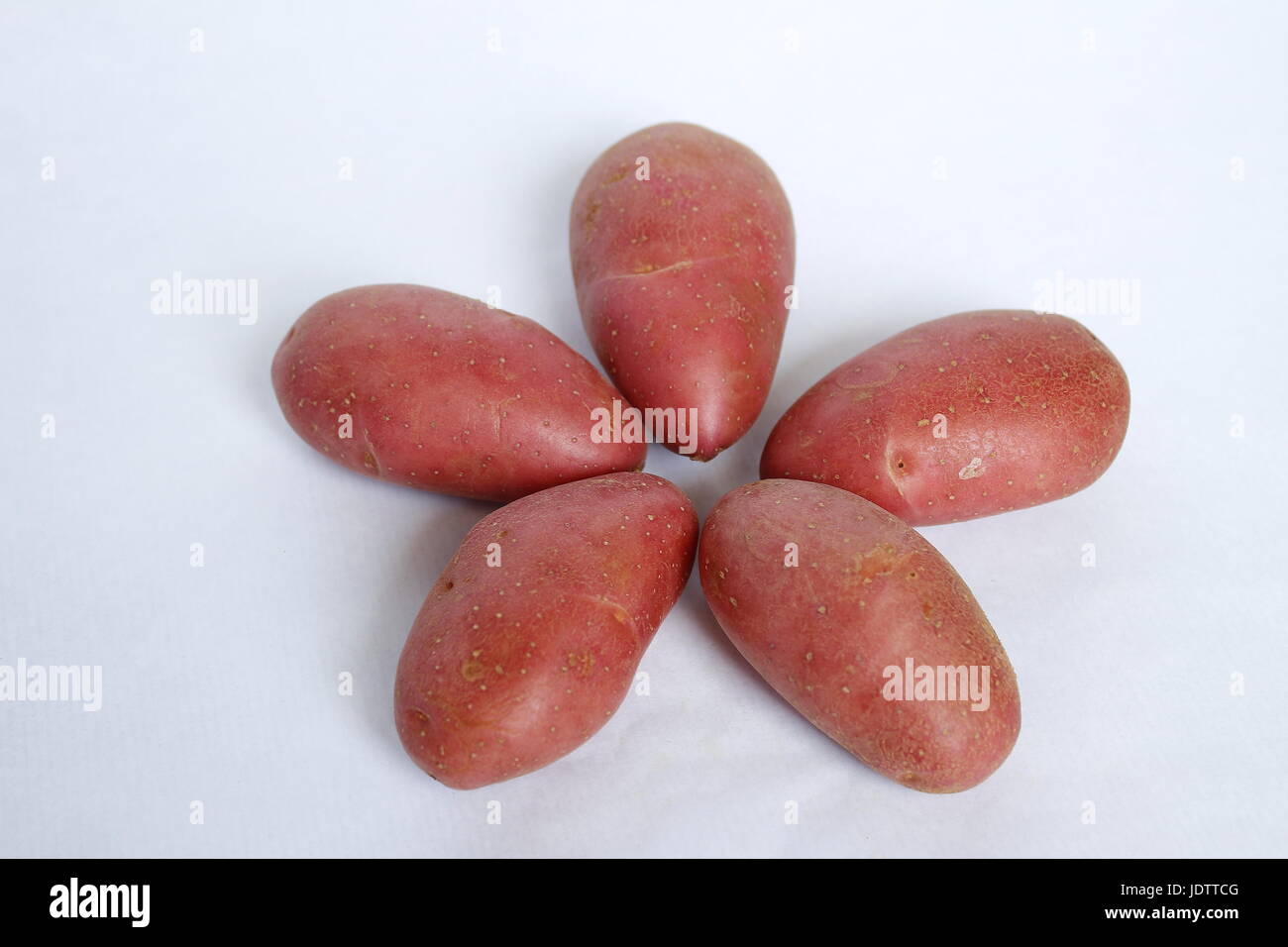 Potato red firm and fondant on white background Stock Photo