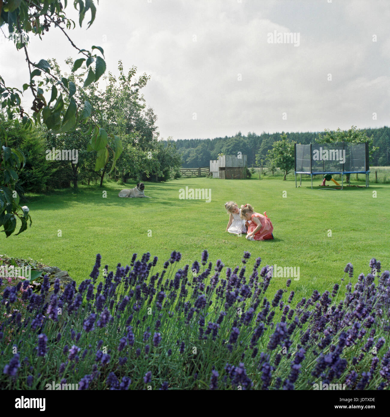 Two girls playing in garden with dog Stock Photo - Alamy