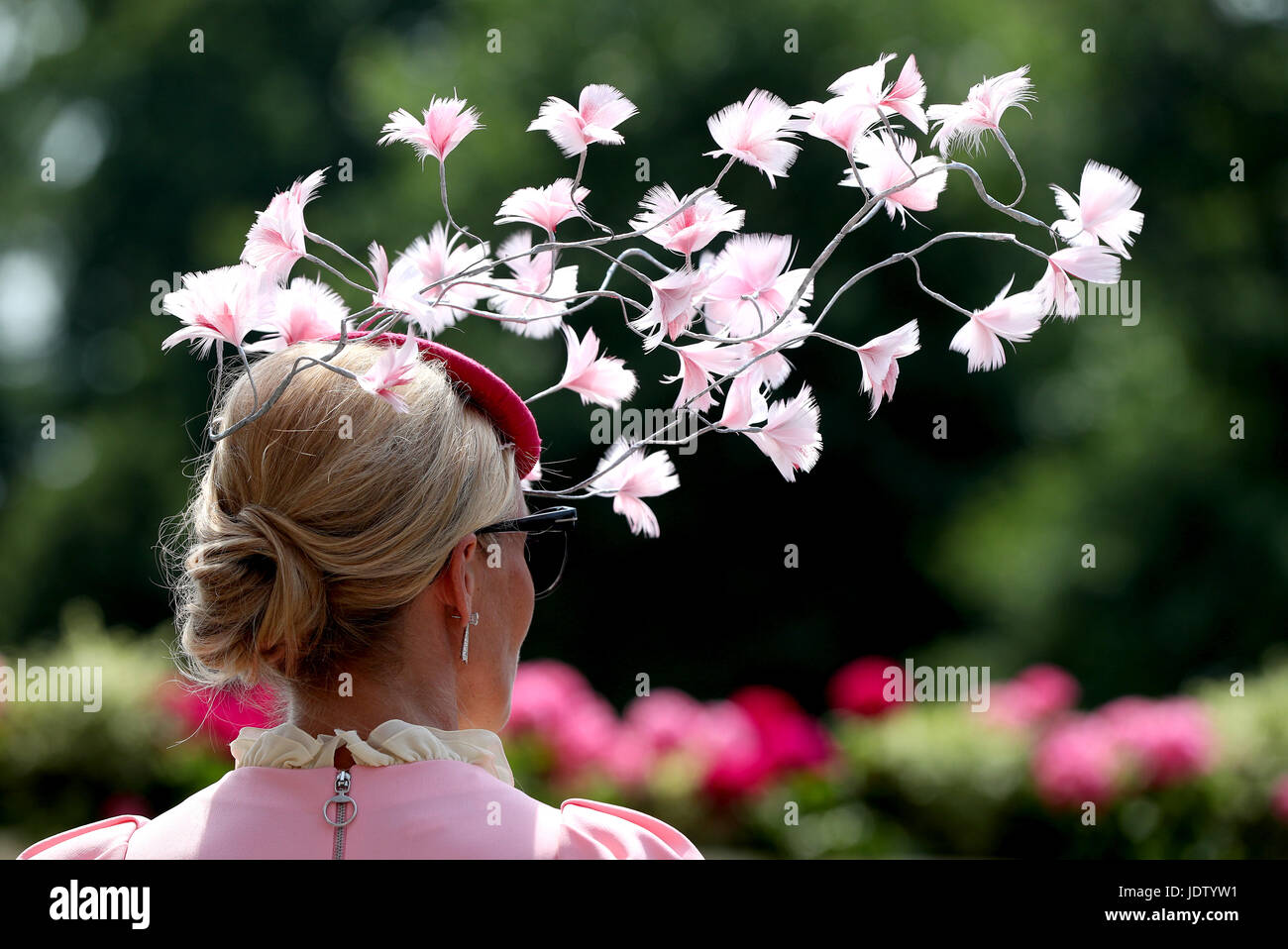 royal ascot fascinators