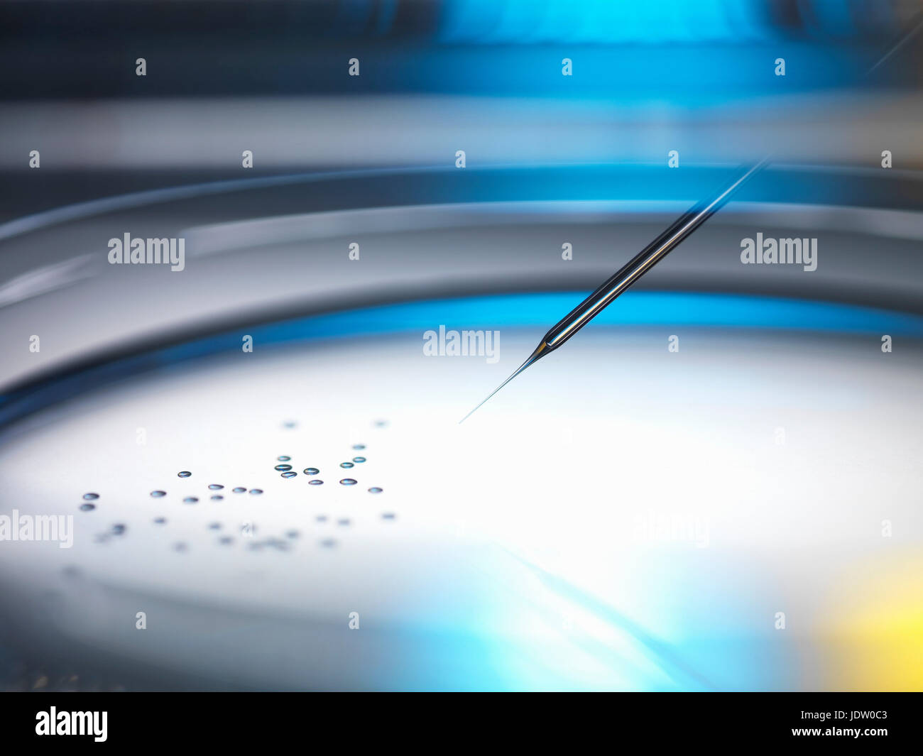 Micro pipette injecting cells in dish Stock Photo