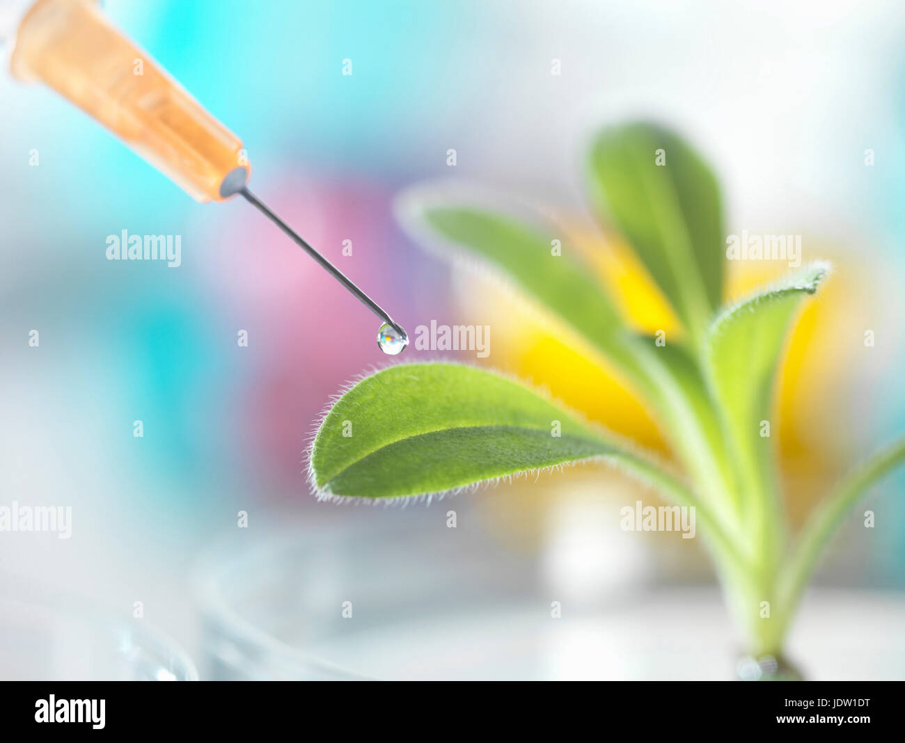 Needle dropping liquid onto plant Stock Photo