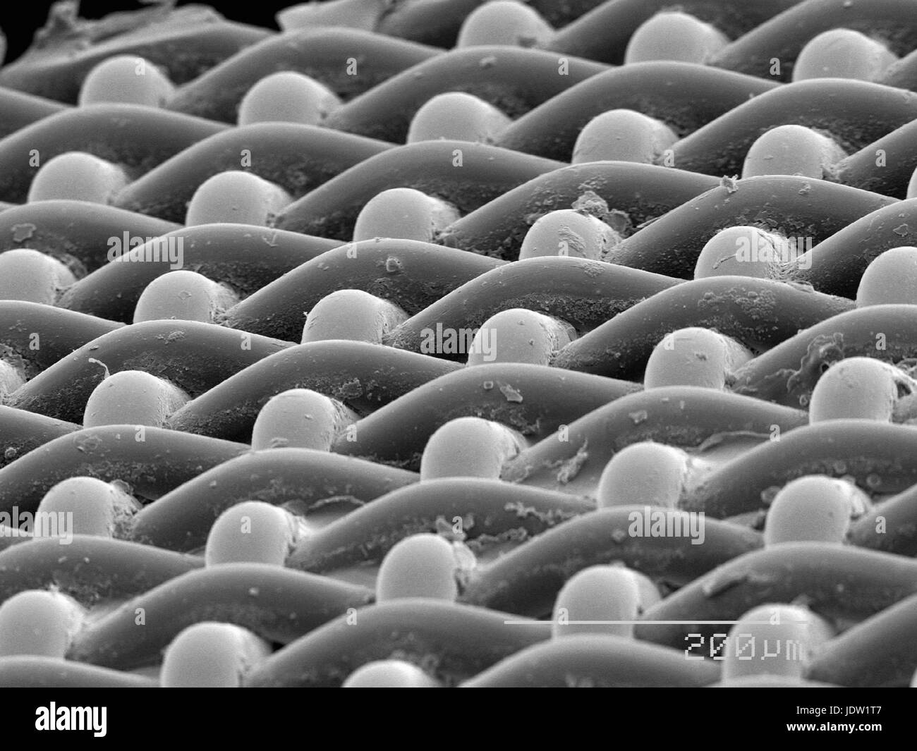 Magnified view of nylon screen Stock Photo