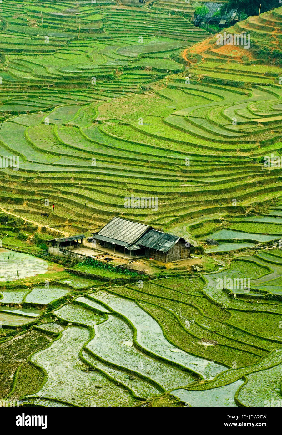 Aerial view of house in divided farmland Stock Photo - Alamy