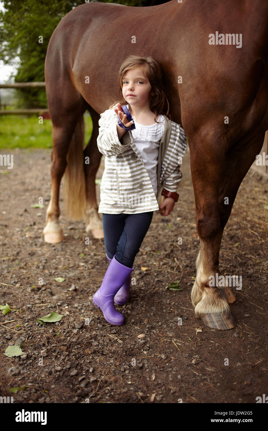 Girl brushing horse's coat outdoors Stock Photo Alamy
