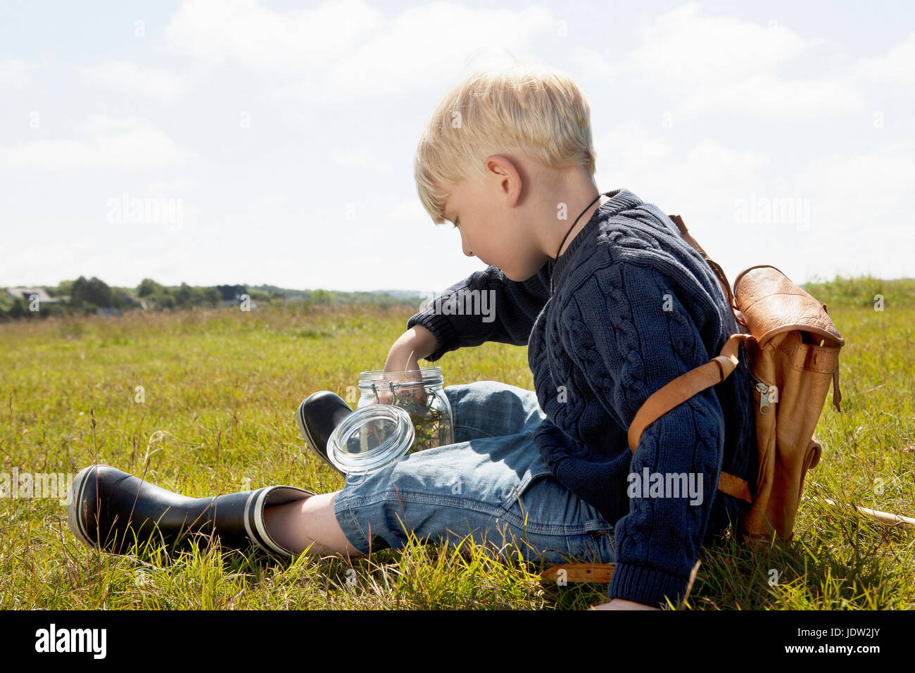 Boy filling jar in grassy field Stock Photo