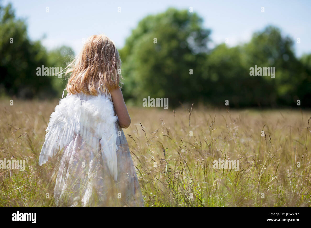 Girl wearing angel wings in field Stock Photo