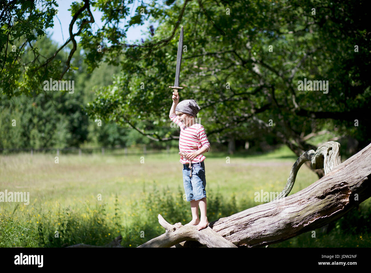 Boy in pirate costume playing on tree Stock Photo