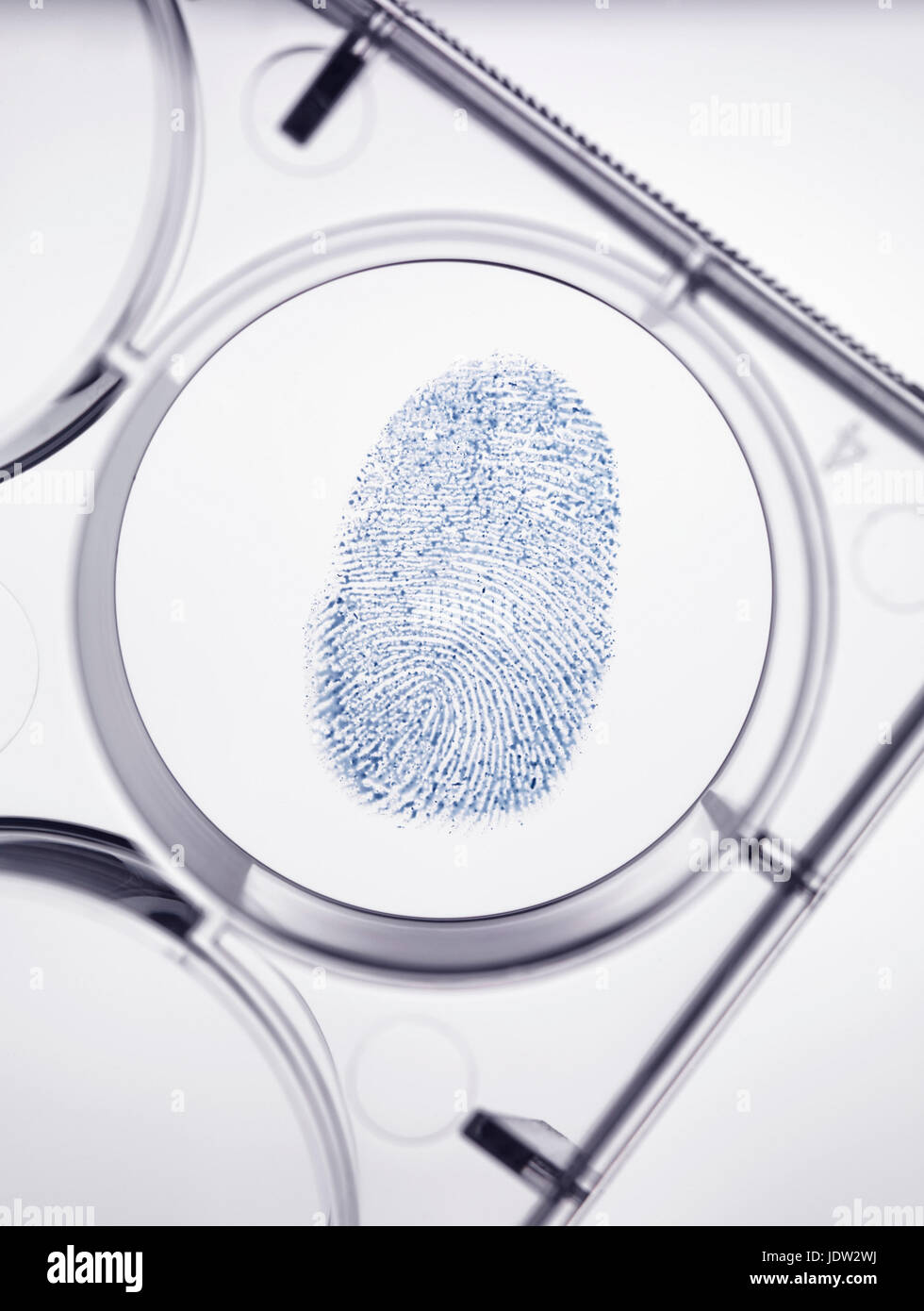 Finger print in forensic lab Stock Photo