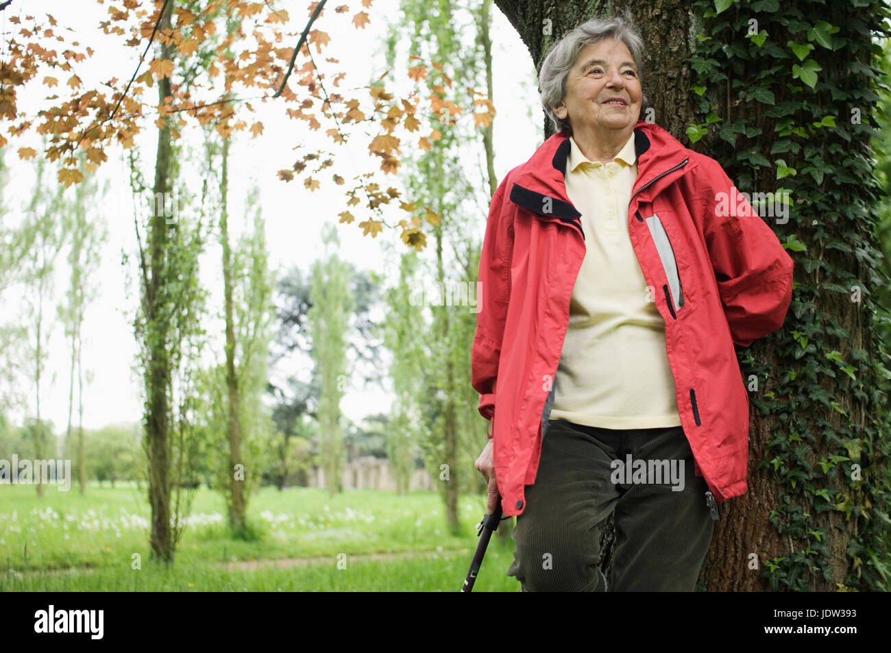 Older woman with walking stick hi-res stock photography and images - Alamy
